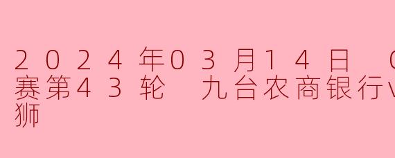 2024年03月14日 CBA常规赛第43轮 九台农商银行vs广州龙狮